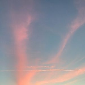 Meet your Posher, Vaida